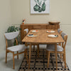 Veskor Confezione da 2 o 4 sedie da pranzo in rovere massiccio Maxwell, rivestite in rovere grigio.Store